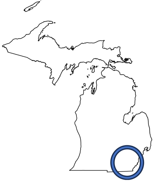 Michigan Map with a circle designating the region for this report